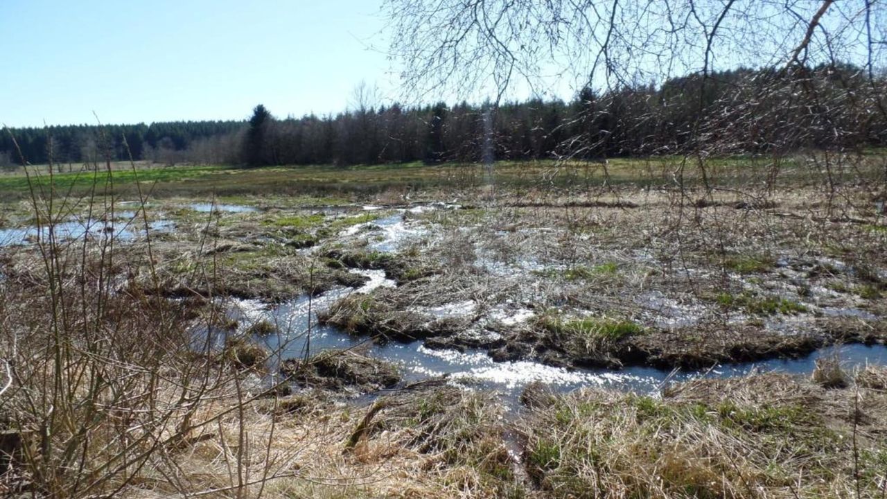 AreaSummer20KM AreaSummer20KM